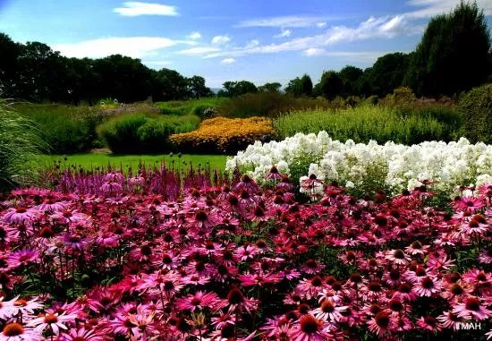 Sussex Prairies Garden
