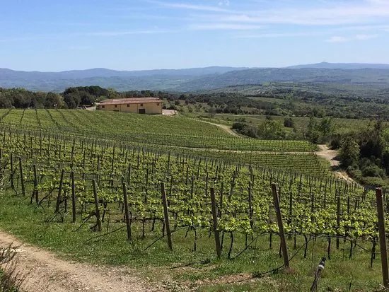 Tenuta L'Impostino