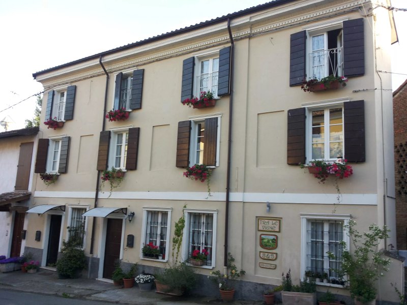 Tra le Vigne