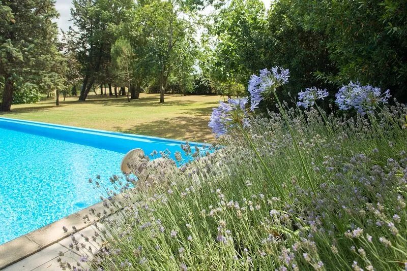 Le Palmier - luxury retreat near Carcassonne, family-friendly