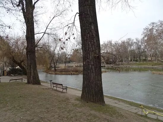 Varosliget Lake