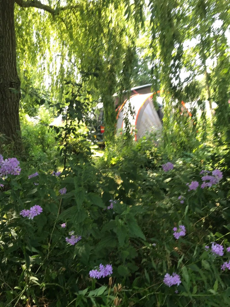 Tuincamping Theeschenkerij De Brinkhoeve