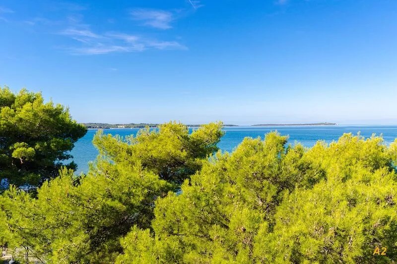 Apartments Stanislava (75611-A2) - Fazana