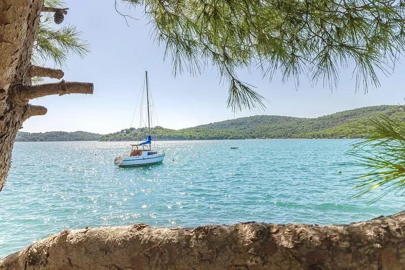 Apartments Danica (22221-A1) - Tisno - island Murter