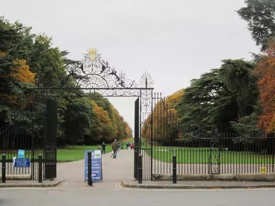 Cirencester Park