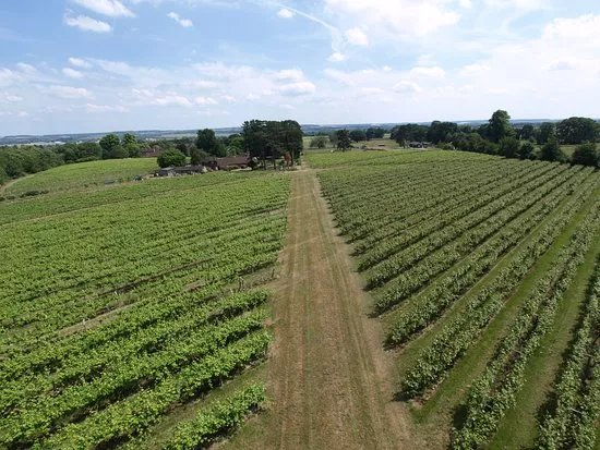 Brightwell Vineyard