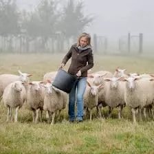Schapenmelkerij Galgenveld