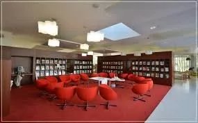 Mediatheque Du Bois Fleuri