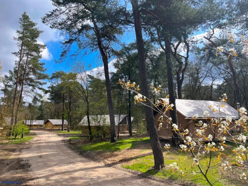 Camping Huttopia De Veluwe