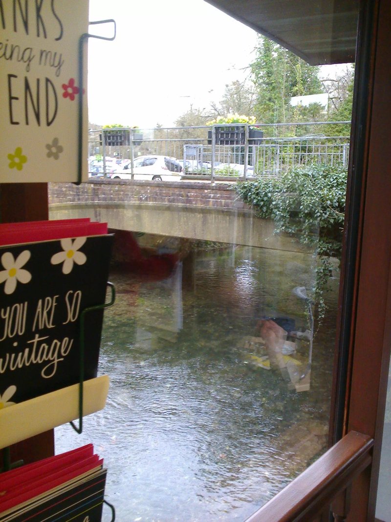Mustard Seed Christian Book Shop and Cafe