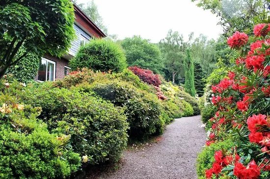 Lea Gardens