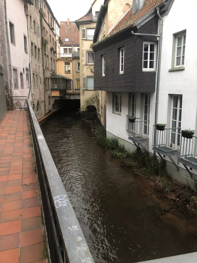 Entlang der Queich