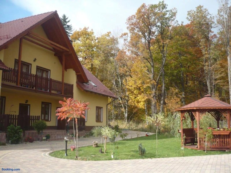 Wynajem Pokoi Willa Pod Lasem