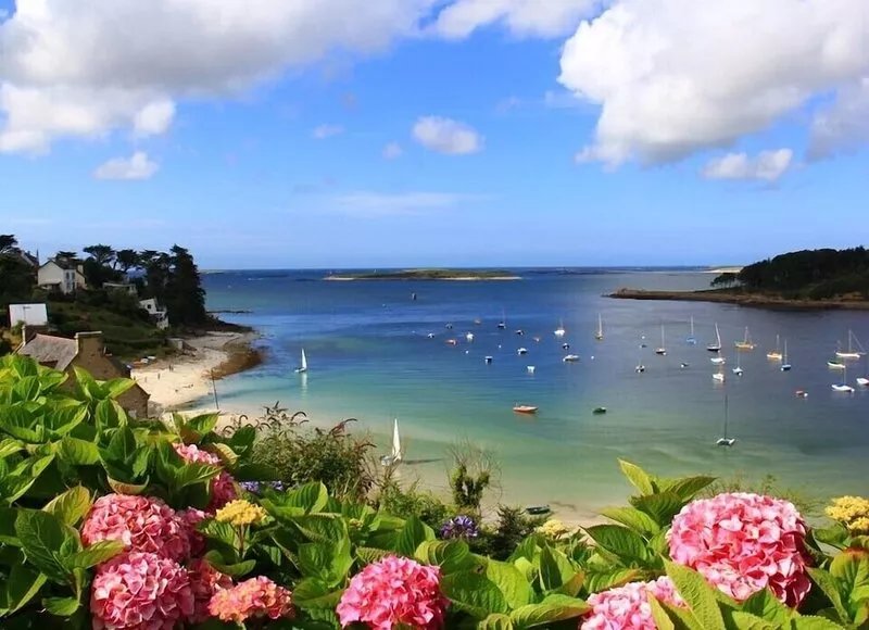 Tip of Finistère Cottage 4 persons, sea view, between Iroise Sea and Abers