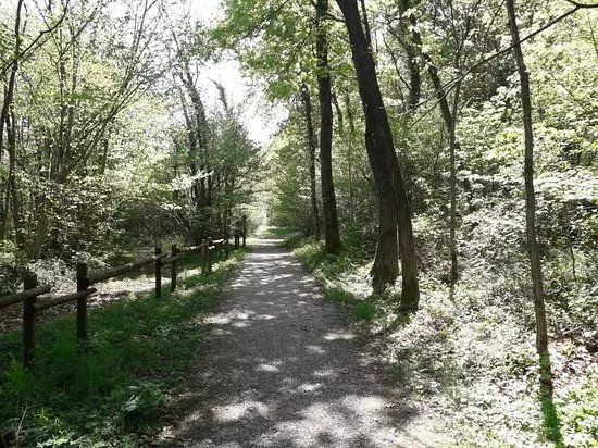 Bosco di Plessiva