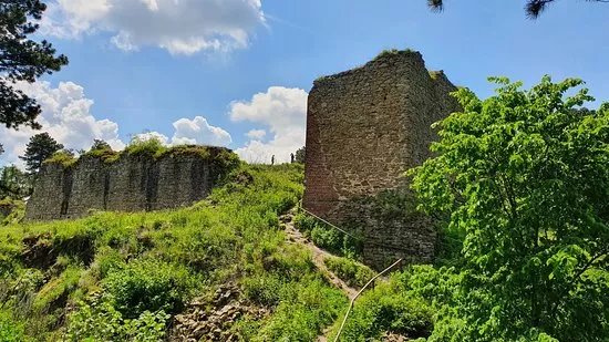 Zricenina hradu Selenburg /hrad Cvilin/
