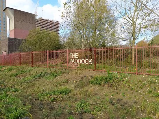 The Paddock Community Nature Park