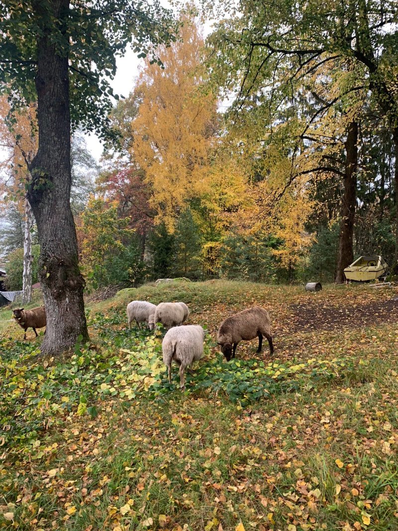 Stentorp Farm