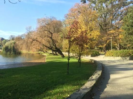 Roth Park