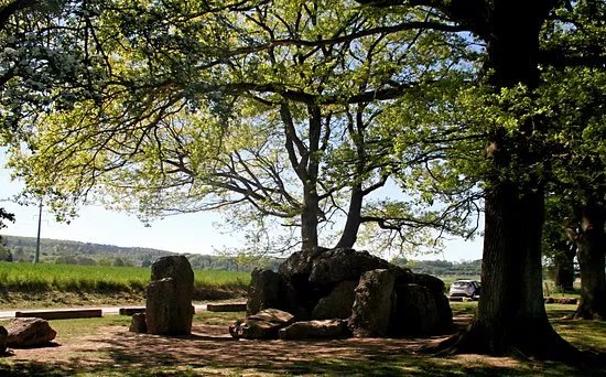 Dolmen nord de Weris - Patrimoine exceptionnel de Wallonie