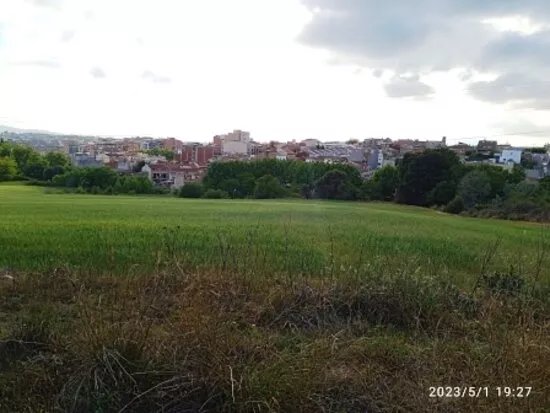 Parc De Ca N'oriol