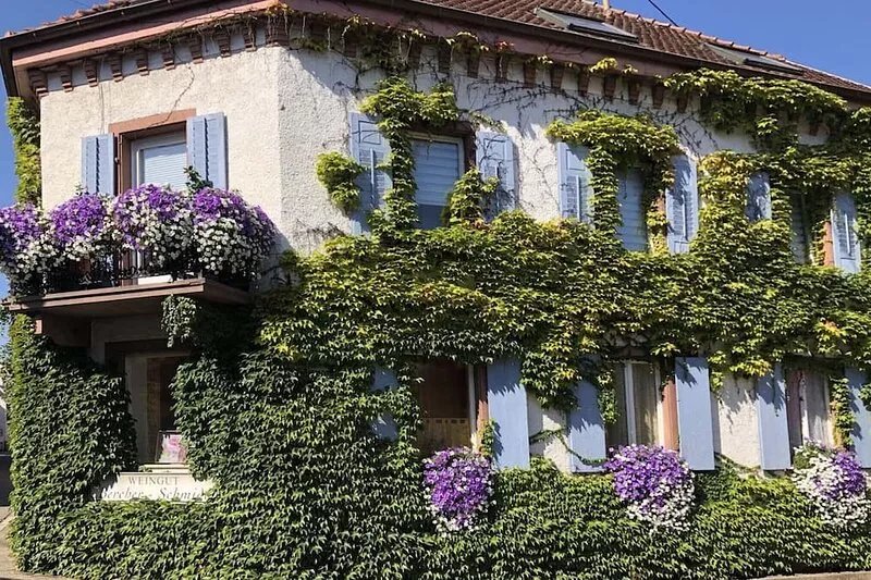 Comfortable accommodation in middle of a winery