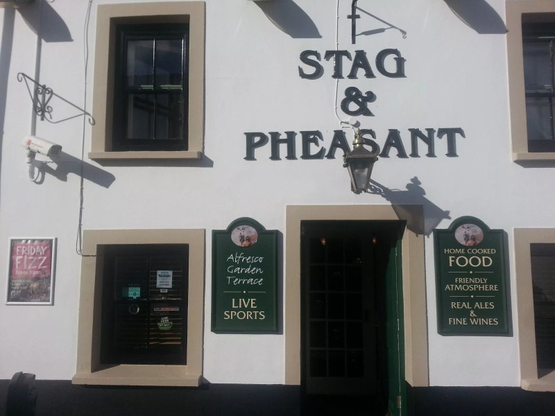 Stag & Pheasant