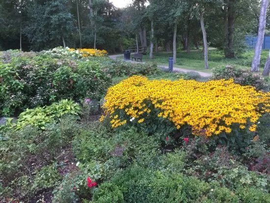 Kurpark
