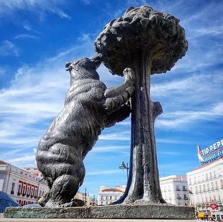 El Oso y el Madrono