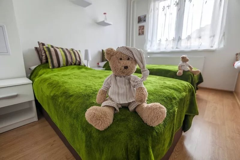 CENTRAL KV APARTMENT "U medvídků"