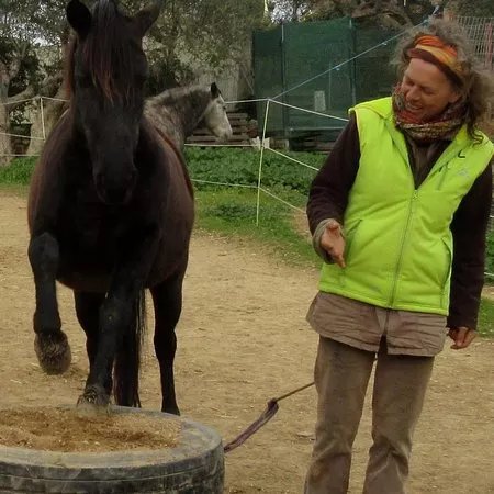With horses in the Here and Now / Mit Pferden im Hier und Jetzt