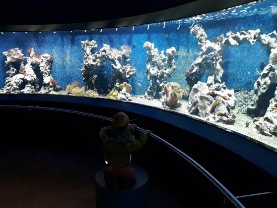 Museums