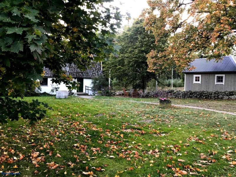 The Old Hen-house