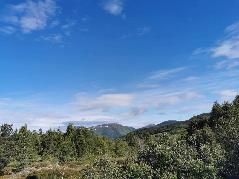 Fjellstova Orskogfjellet