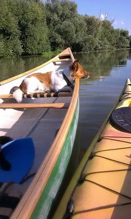 Canoe renting - Little Danube