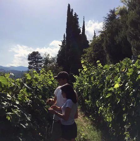 Podere del Maro