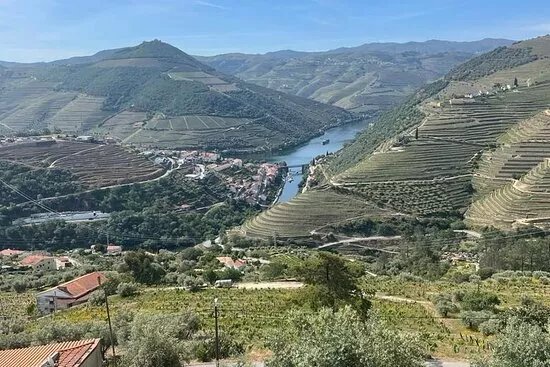 Tours By Chef Rui Torres