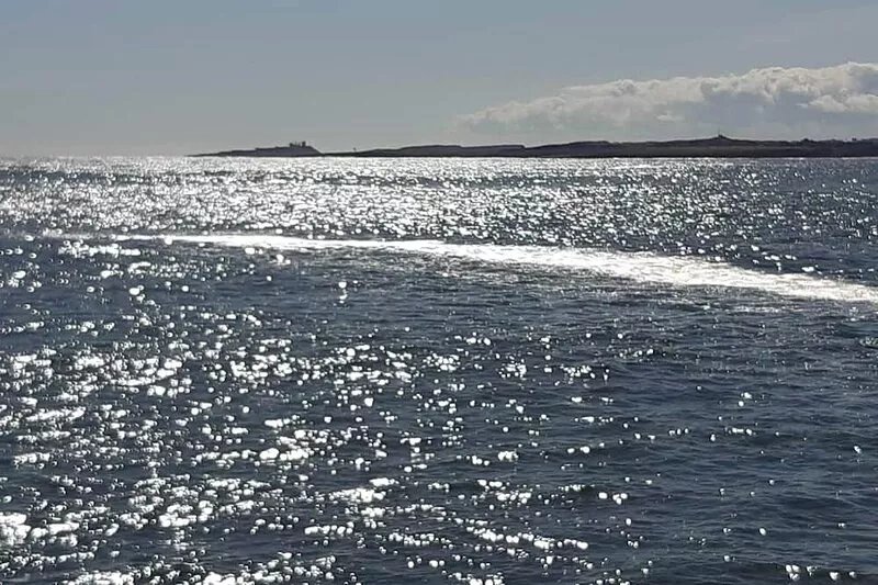 Stunning Apartment next to Beadnell Bay, with its stunning Beach!! Coastal Walks