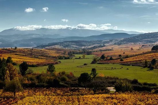 VIAJES LEONTUR S.L.