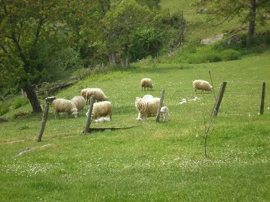 Pazo Paradela