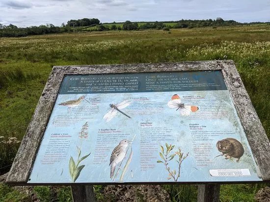 Cors Bodeilio National Nature Reserve