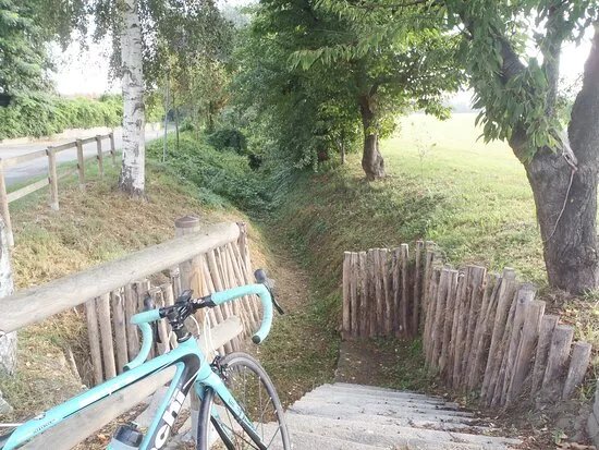 I Fontanili di Vigone