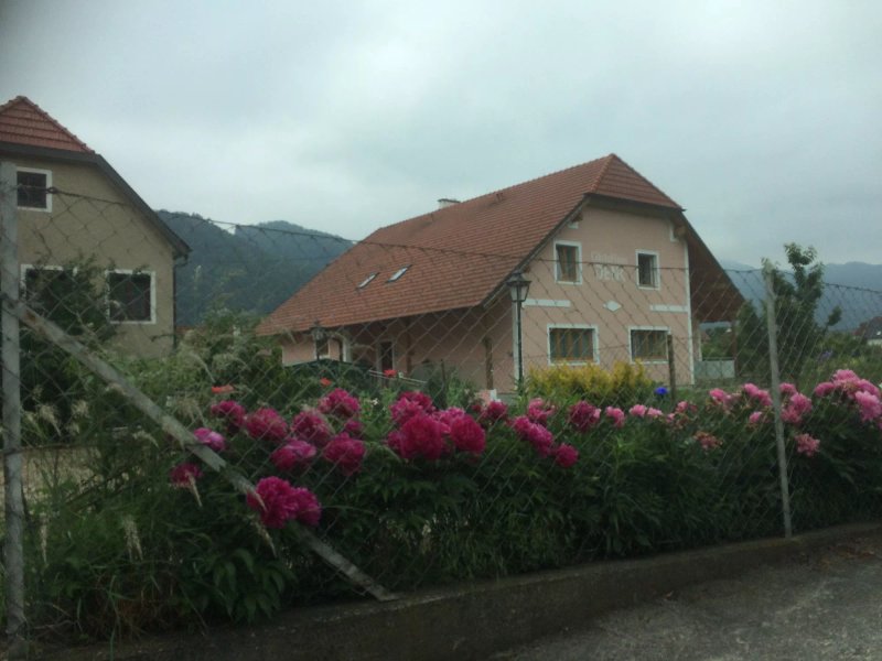 Gaestehaus Denk