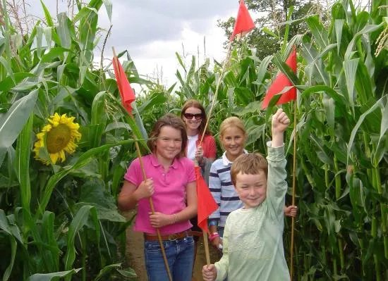 Wistow Maze
