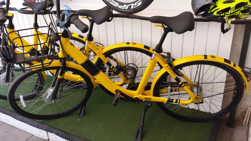 Lemon City Bike Hire