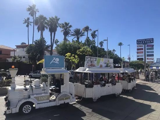 Touristic Train Tenerife
