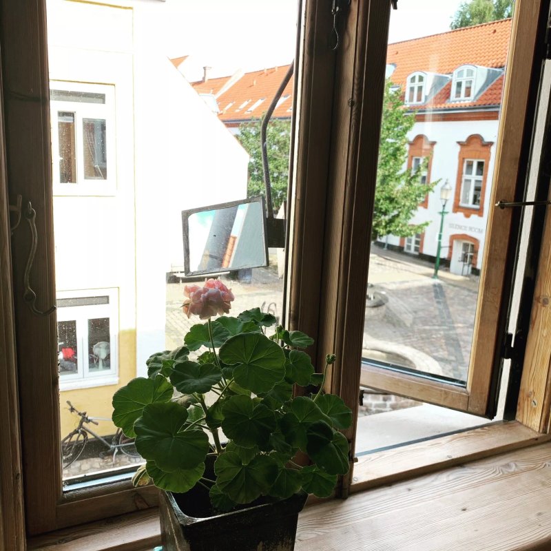 Nattely I Viborg By