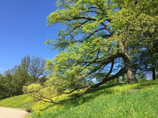 Parks & Nature