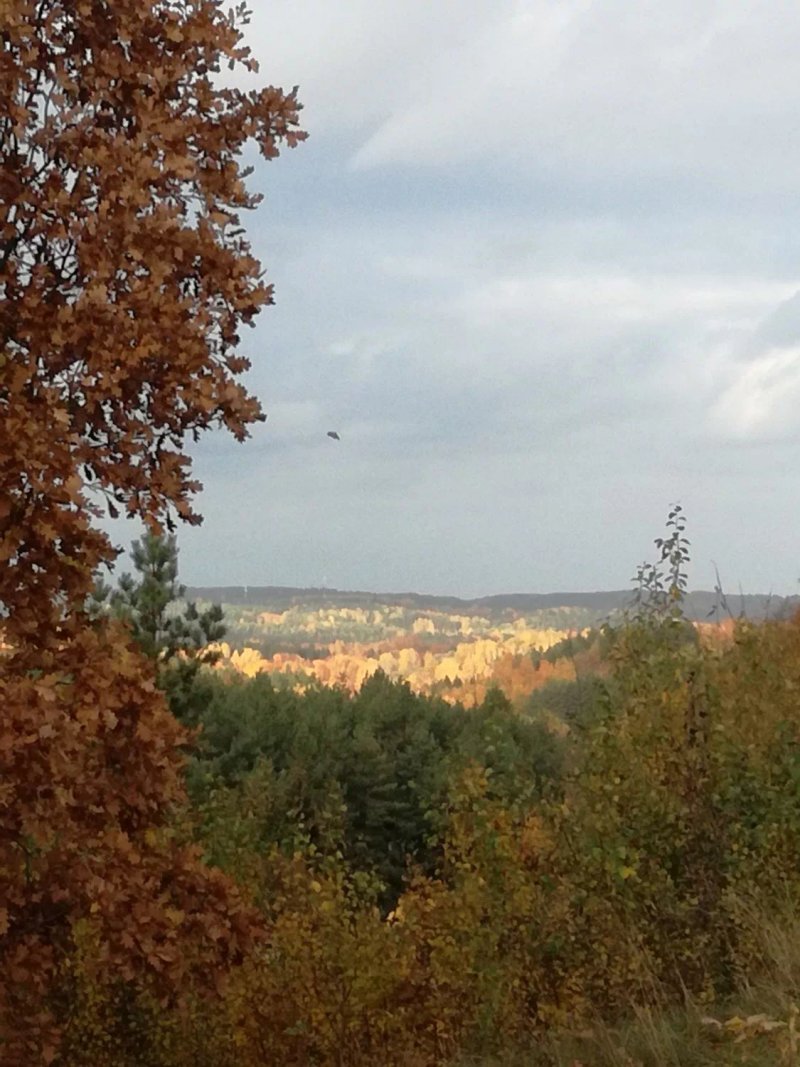 Vilnius Camping