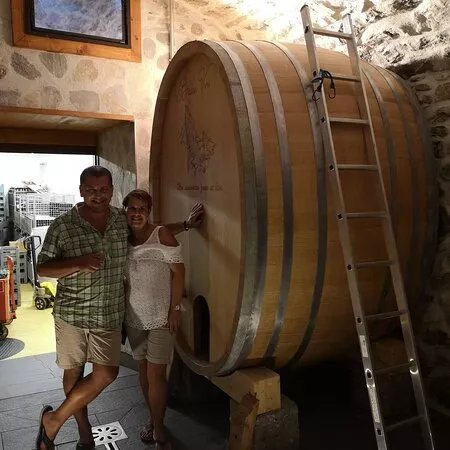Badan Vins